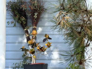 Гостевой дом Моя Провинция