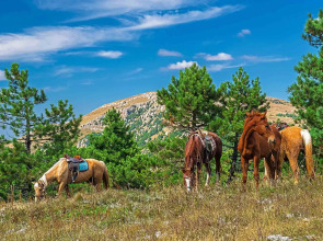 Гостевой Дом Горная Антавия