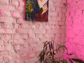 Апартаменты Оранжерея