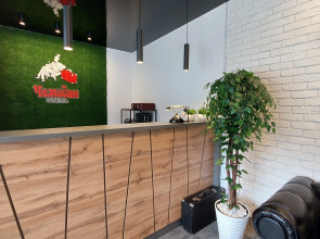 Гостевой дом Чемодан