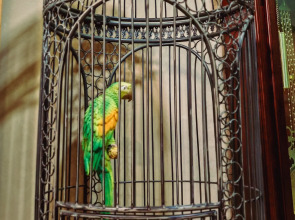 Гостевой дом Москвич