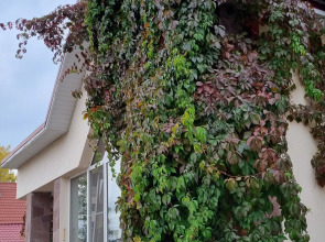 Гостевой Дом Каменный Цветок