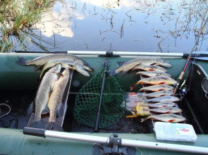 Частный дом РУСЬ