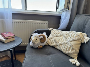 Апартаменты С ПАНОРАМОЙ НА ЦЕНТР