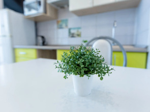 Апартаменты Graphics