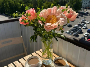 Квартира Звездинка 3