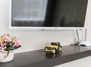 Апартаменты двухкомнатные в самом центре на Большой Покровской 73, Сова-Дом