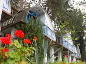 Солнечный летний пансионат