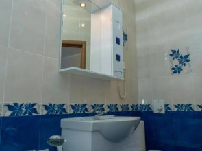 Отель Виноград