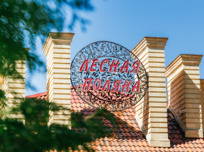 Отель Лесная поляна