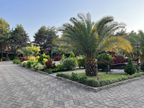 Апартаменты от собственника в Dreamland Oasis Chakvi