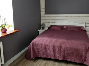 Апартаменты Bricks Apartments