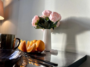 Апартаменты Fsf Премиальные Мега Аэропорт М5