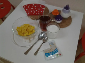 Хостел Серебряная Сова