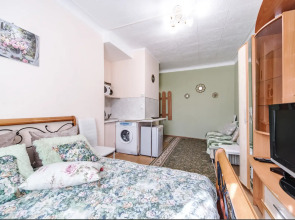 Апартаменты Зеленый шелк рядом с парком в центре города