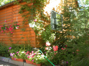 База Отдыха Солнечное