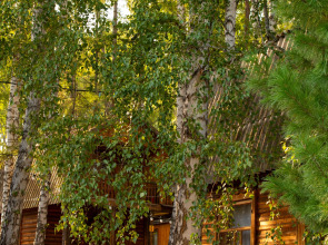 База отдыха Энергия