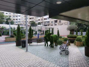 Апартаменты в центре Сочи для 3 гостей ЖК Сокол с видом на море