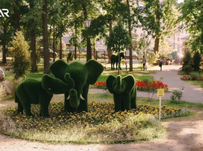 Квартира на улице Кольцова 3