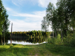 Коттедж Новгородская Деревня