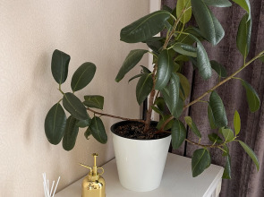 Квартира на Окской набережной 19