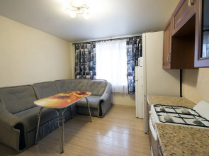 Квартира на Челюскинцев 62 НаСутки35