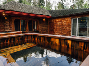 Мини-отель Гуси-Лебеди