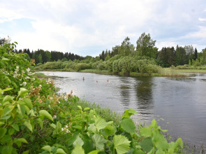 Дом Namaste vegetarian camp
