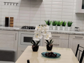 Частный дом рядом с Волгой