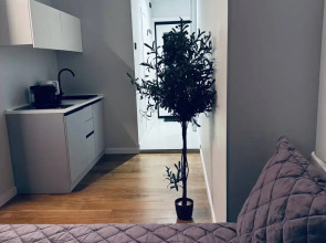 Апартаменты с видом на башни Москва-Сити 35_2