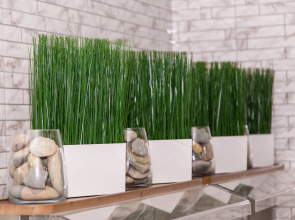 Пансионат Undersun Витязево