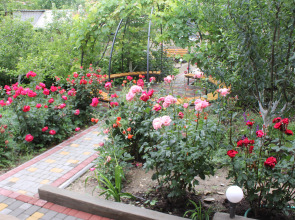 Гостевой Дом Елена