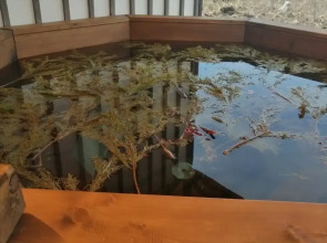 Частный дом У Авачи