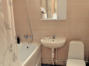 Квартира однокомнатная В гостях у Петербурженки Янино