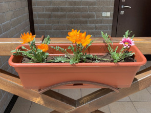 Гостевой дом Голубицкая вилладж