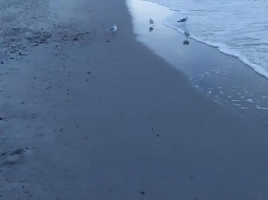 Апартаменты на улице Дачная 4