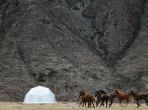 Глэмпинг Brosko Terra