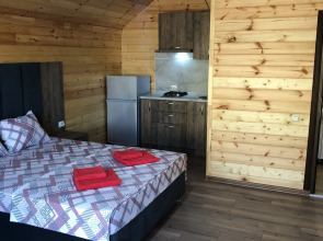 Частный Дом Экодом Диамант+