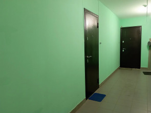 Апартаменты с видом на Закат у парка Арены и Атланта Центр - 10минут