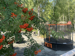 Гостевой Дом Брусника № 1