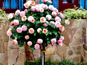 Гостевой дом Камелот