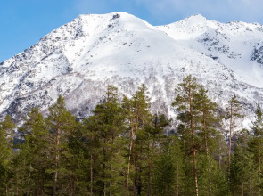 Апартаменты Классические с Красивым Видом у Реки от Квартирукинг