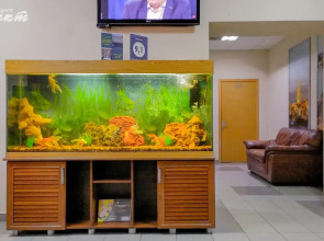 Мини-отель Respect