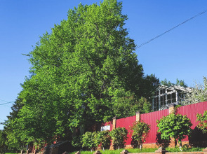 Гостевой дом Отрадный