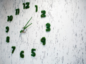 База отдыха Широкая