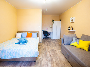 Квартира на улице Озерная 29к3