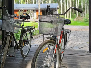 Гостевой дом Домик в Соснах