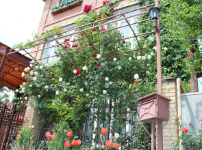 Гостевой дом У Друзей