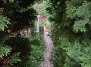 Вилла Ларсон