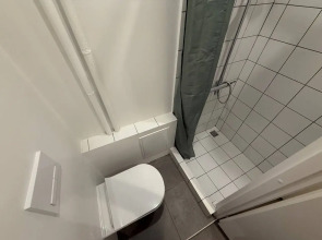 Меблированные комнаты Зубовском (6)